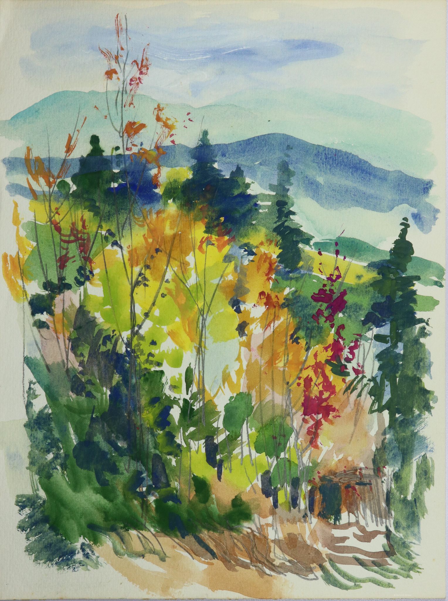 Waldstück mit Bergen